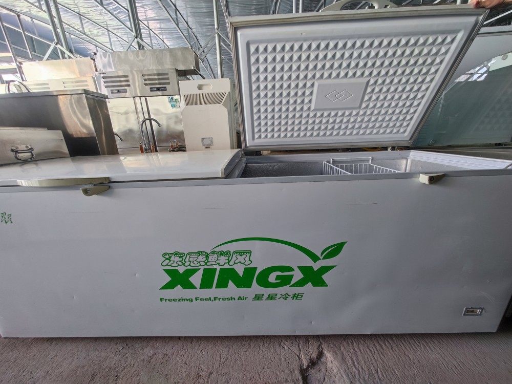 自家使用的二手星星（XINGX) 大冰柜 商用节能250*90*70运费自付